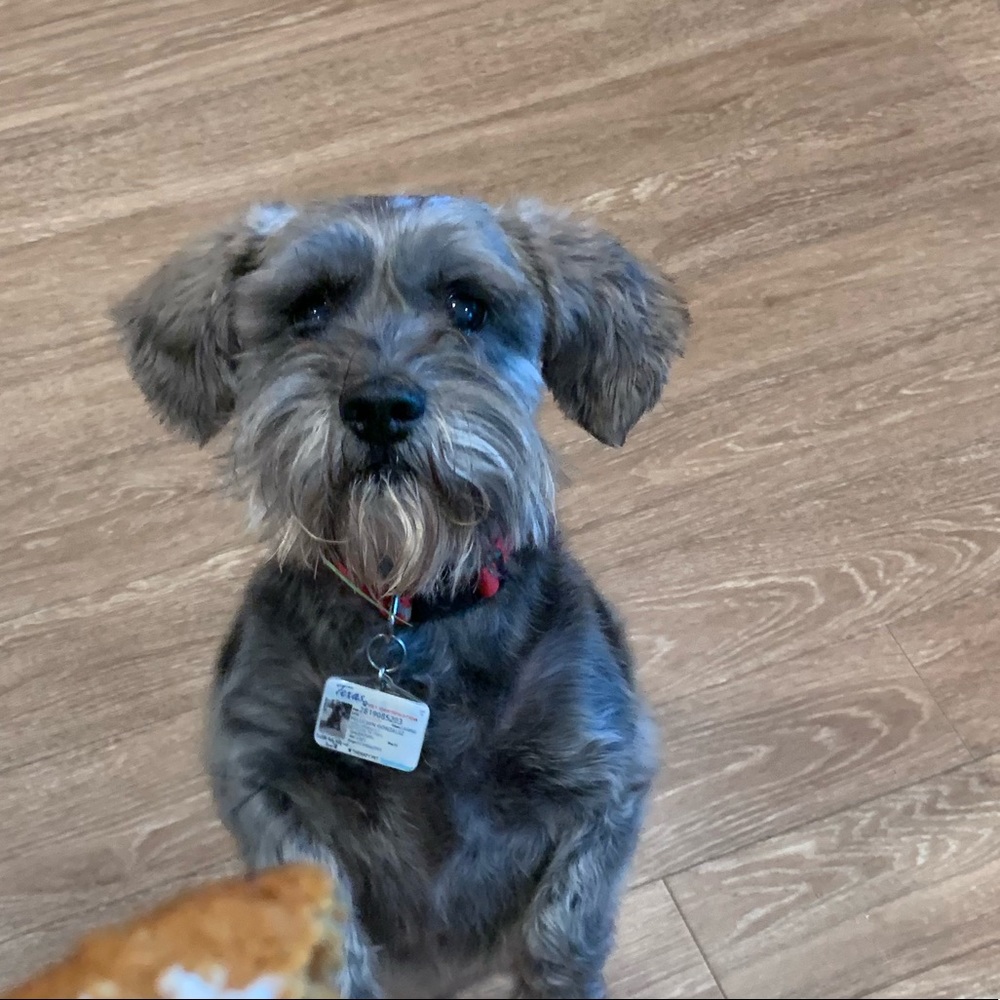 Meet your Posher, Jess